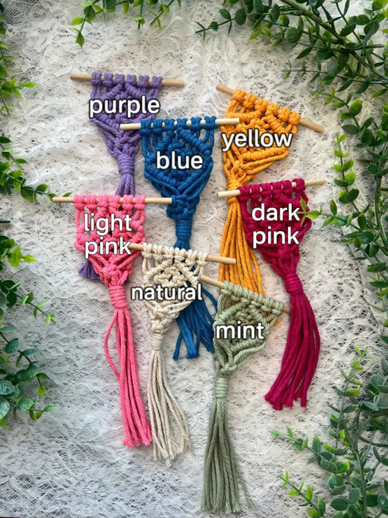 Macrame Air Plant Magnet