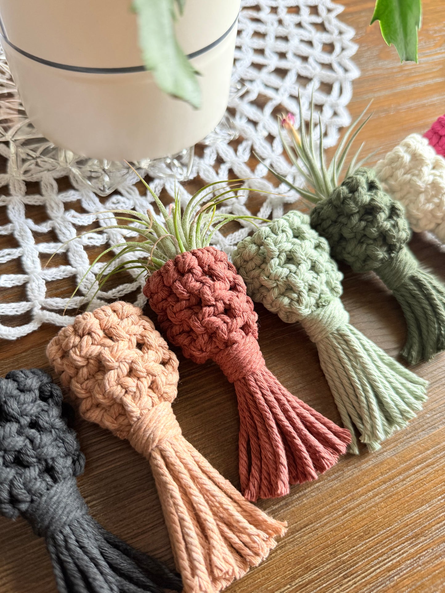 Macrame Air Plant Pocket Magnet