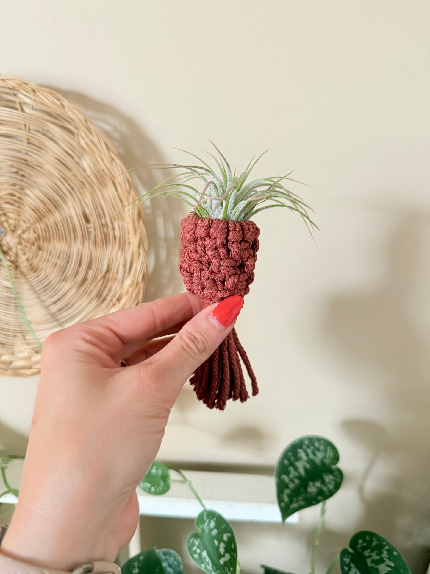 Macrame Air Plant Pocket Magnet