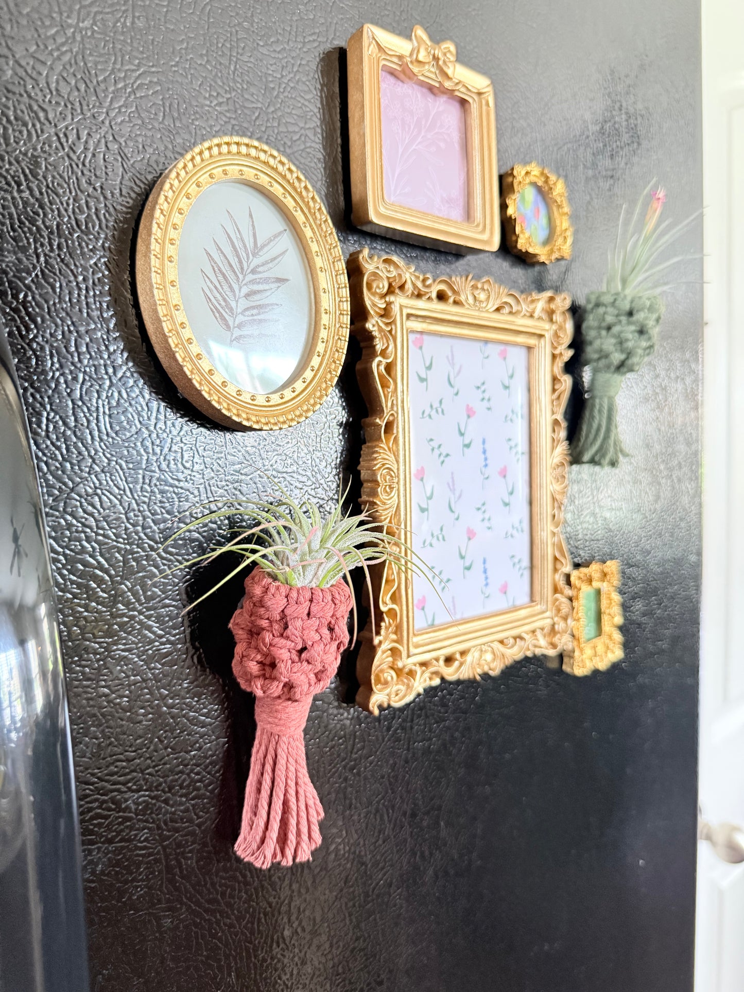 Macrame Air Plant Pocket Magnet