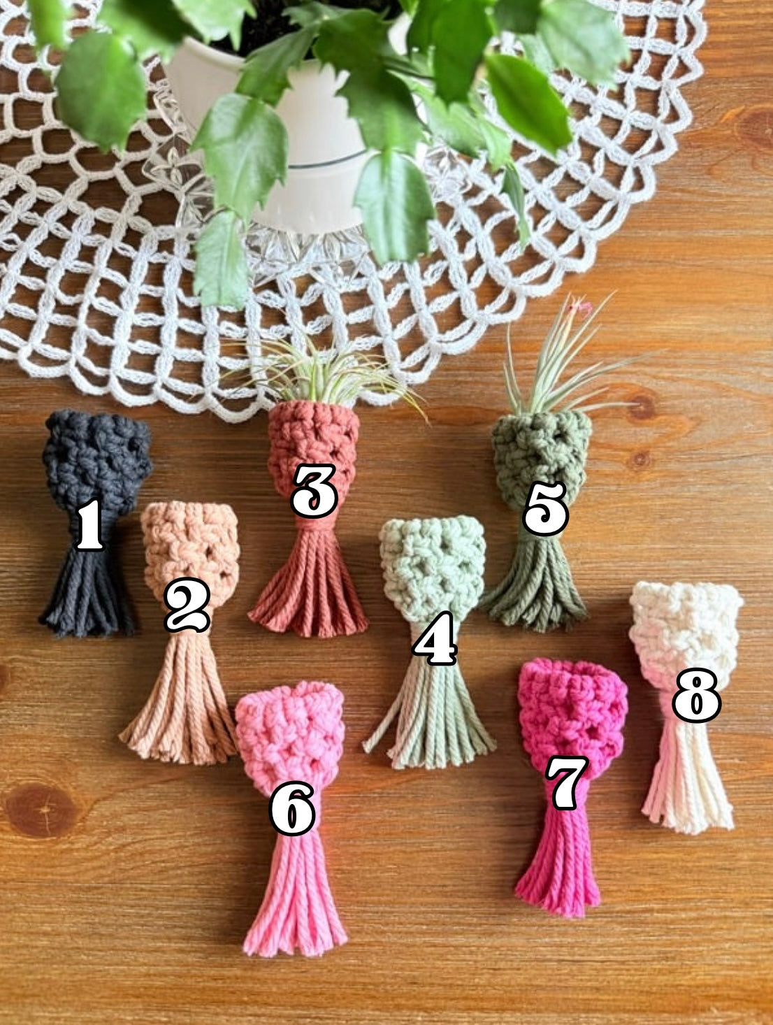 Macrame Air Plant Pouch Magnet