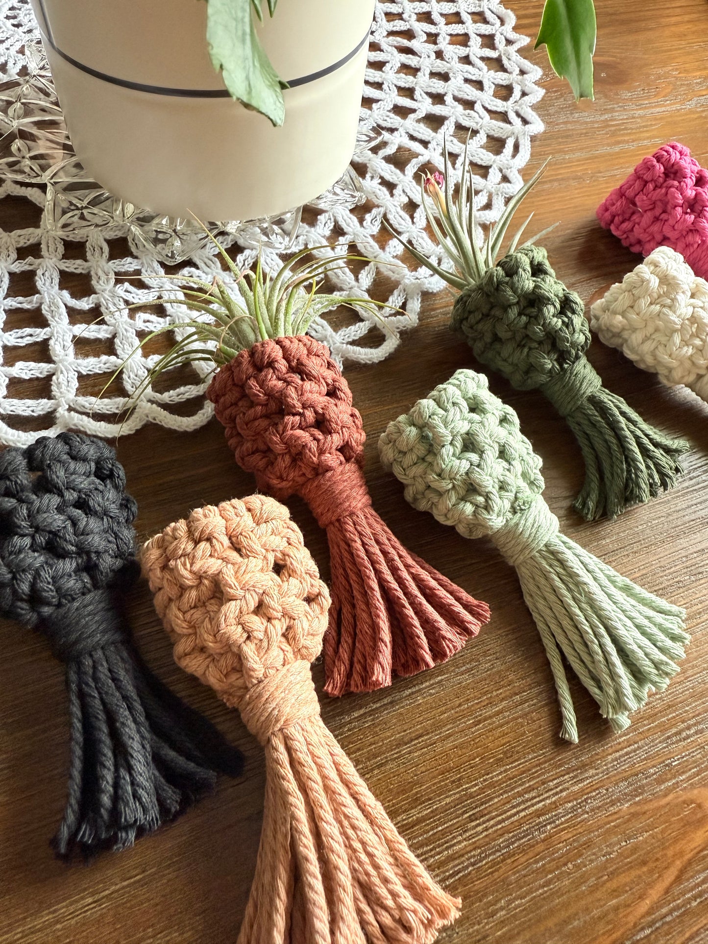 Macrame Air Plant Pocket Magnet