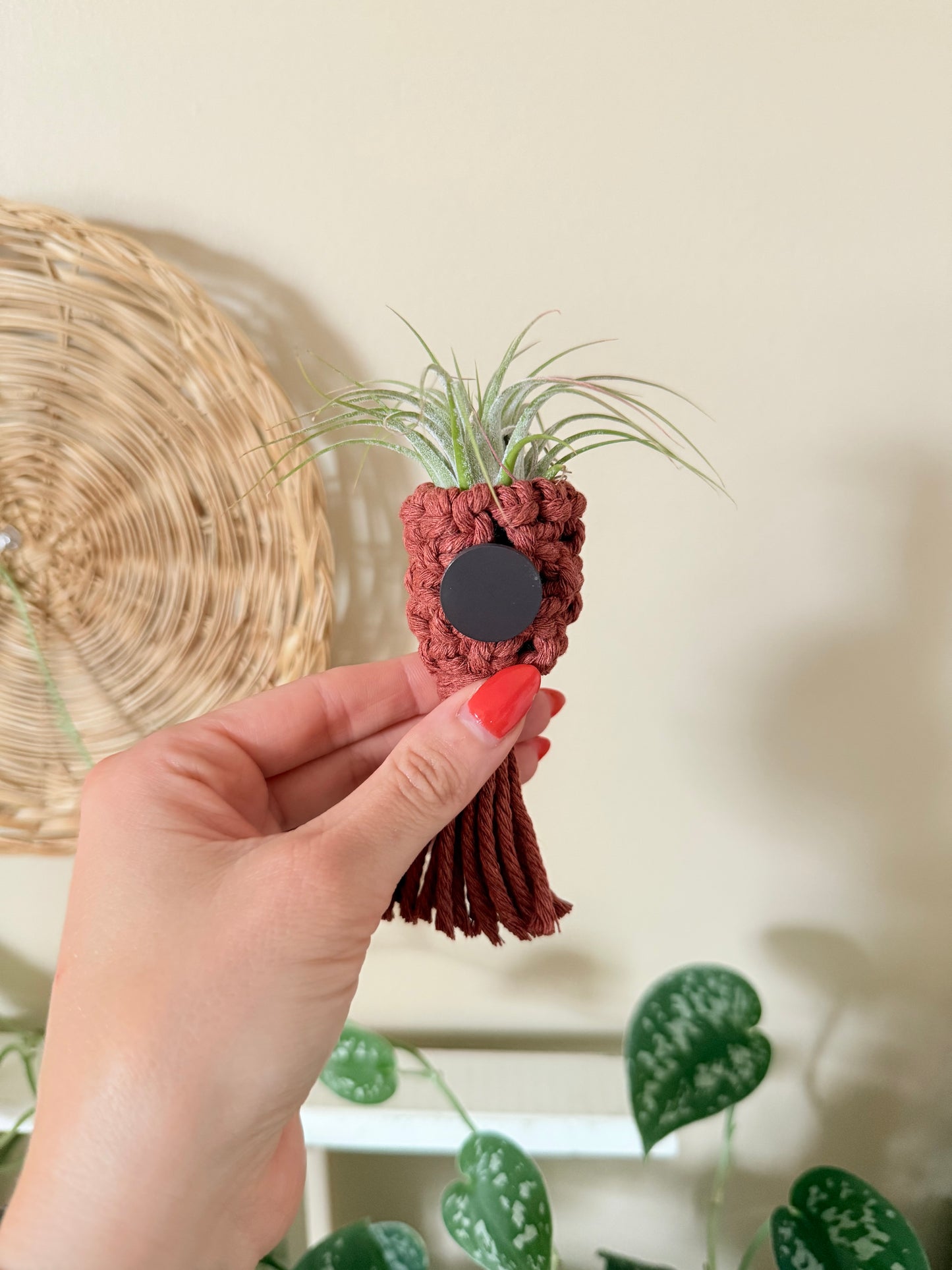 Macrame Air Plant Pocket Magnet