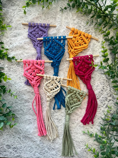 Macrame Air Plant Magnet