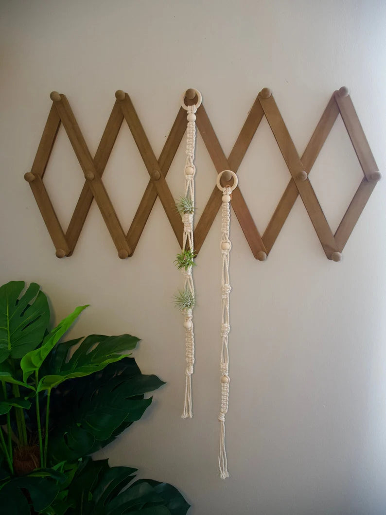 Macrame Air Plant Holder