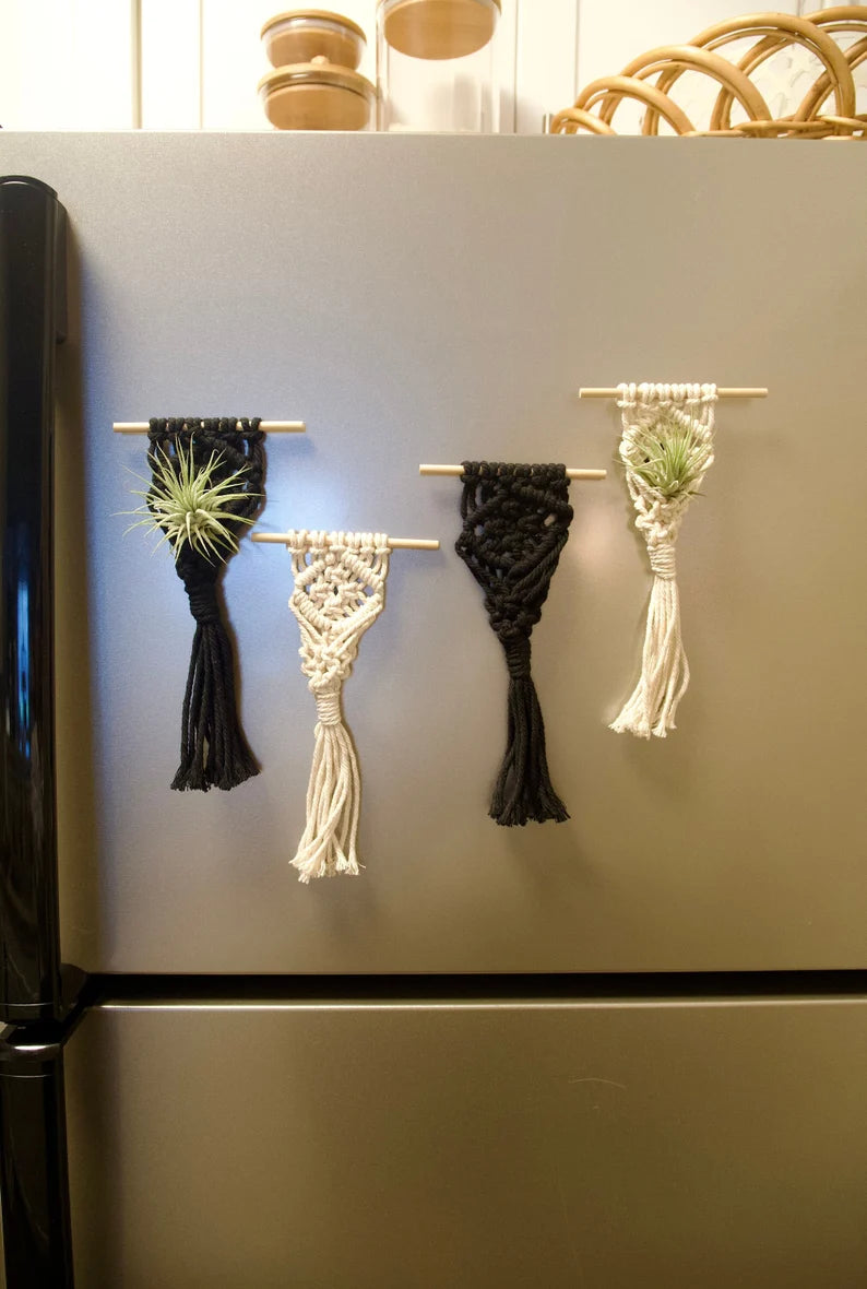 Macrame Air Plant Magnet