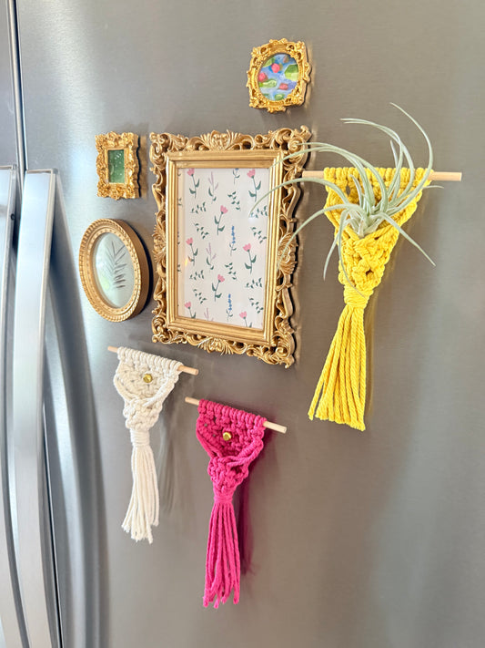 Macrame Air Plant Magnet