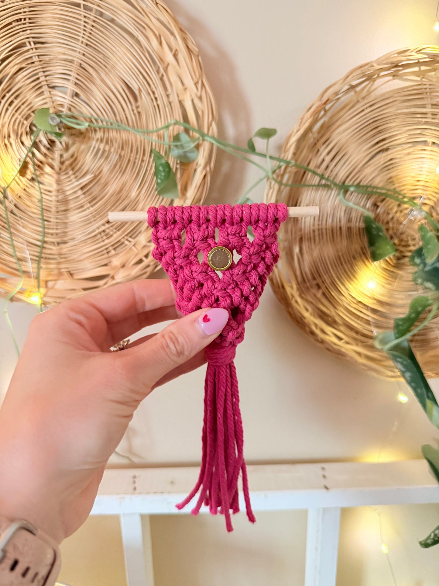 Macrame Air Plant Magnet