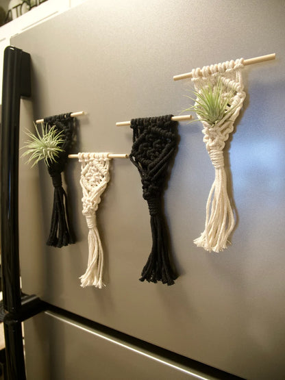 Macrame Air Plant Magnet
