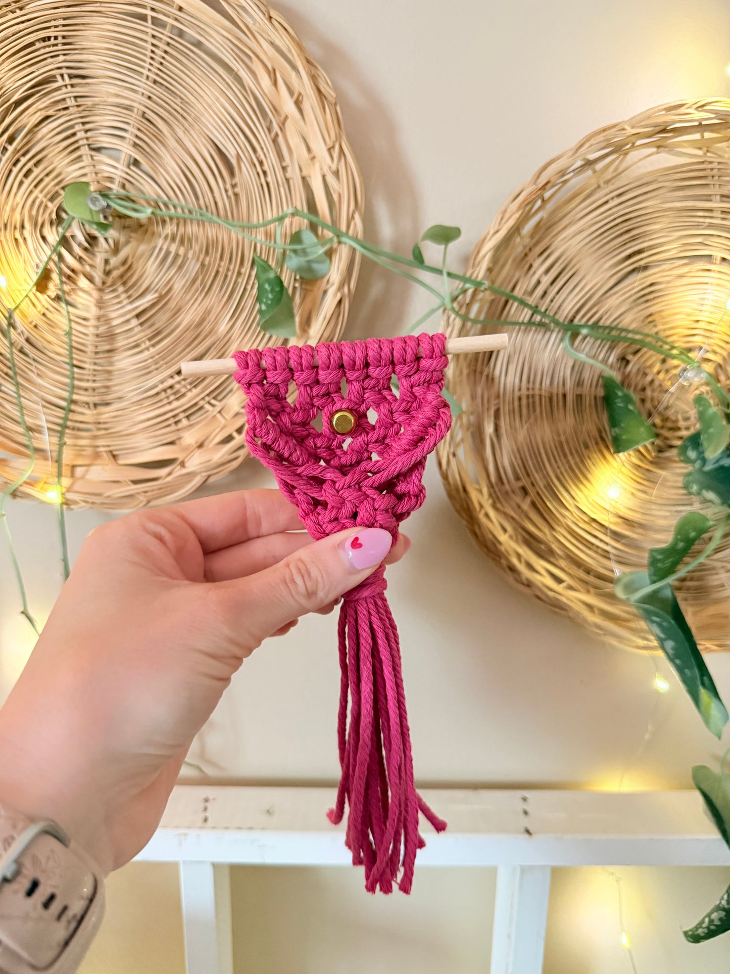Macrame Air Plant Magnet