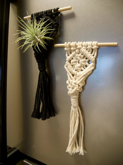 Macrame Air Plant Magnet