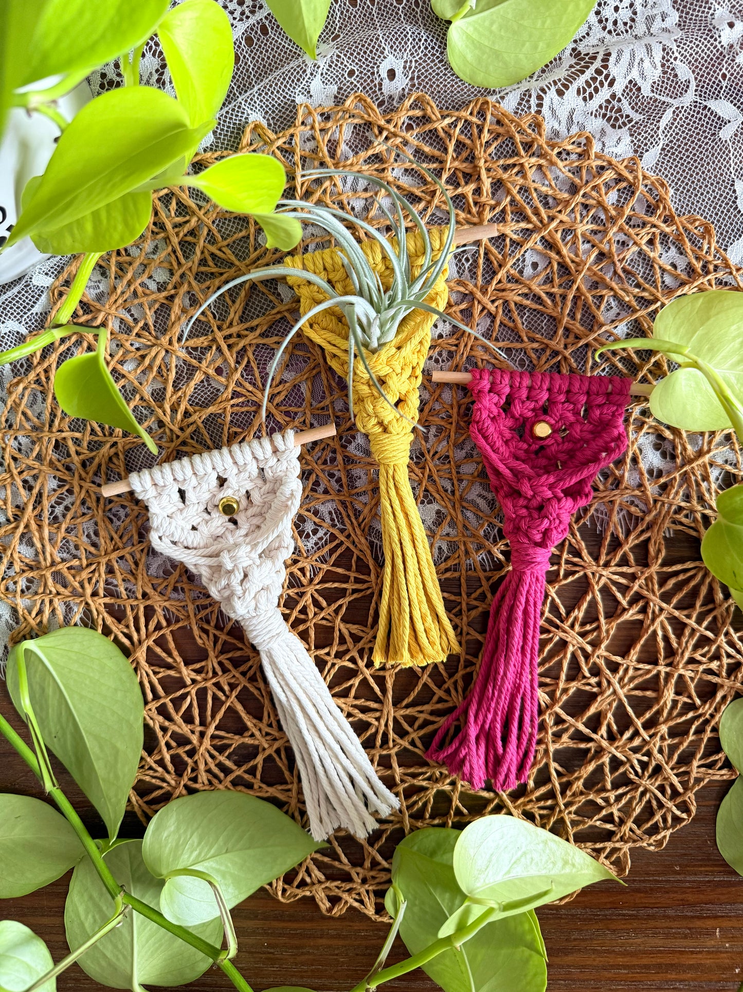 Macrame Air Plant Magnet