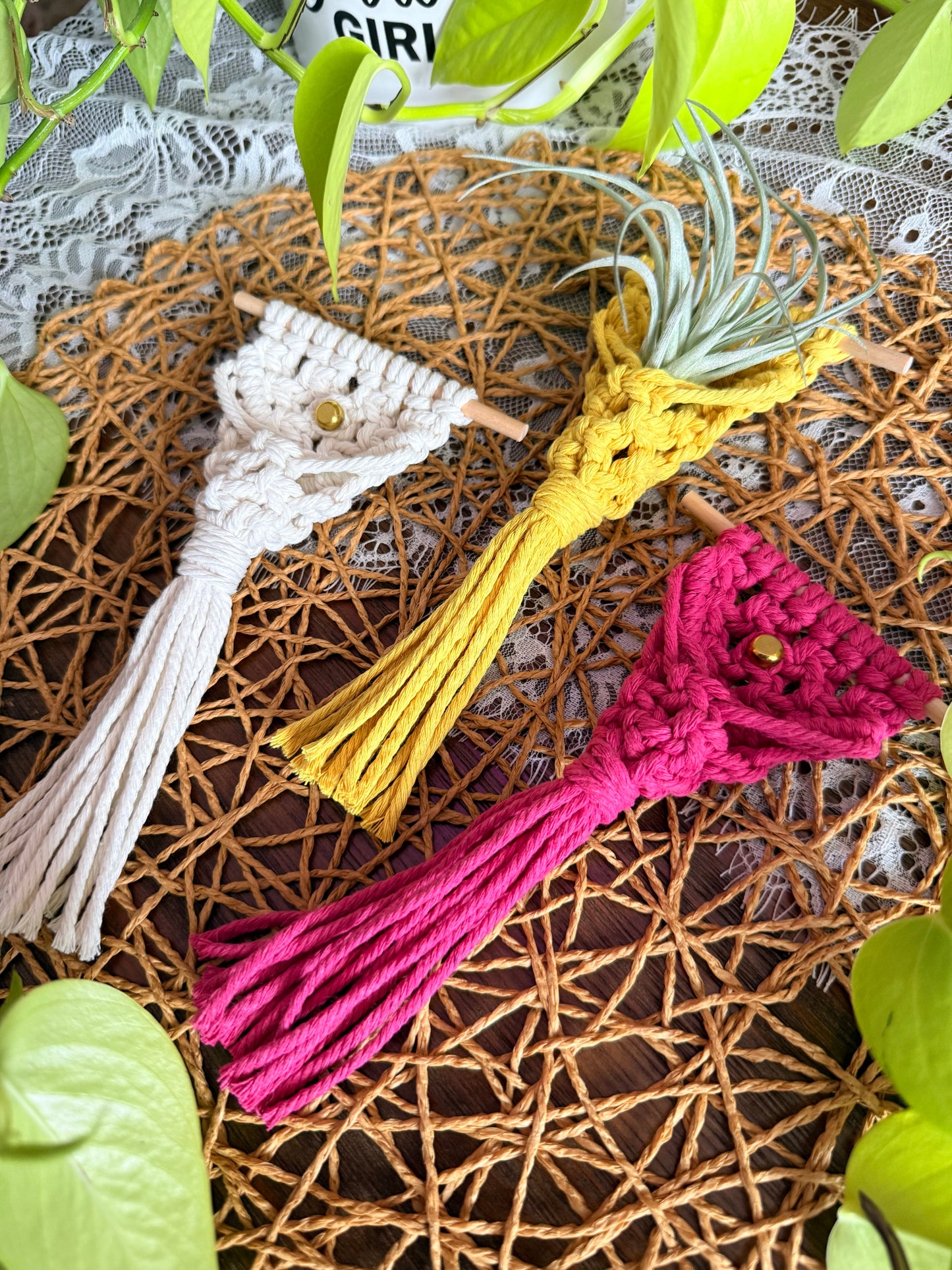 Macrame Air Plant Magnet