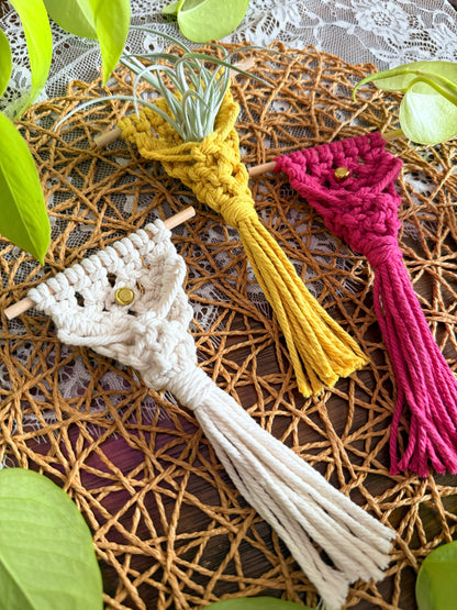 Macrame Air Plant Magnet