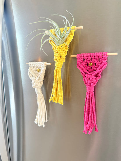 Macrame Air Plant Magnet