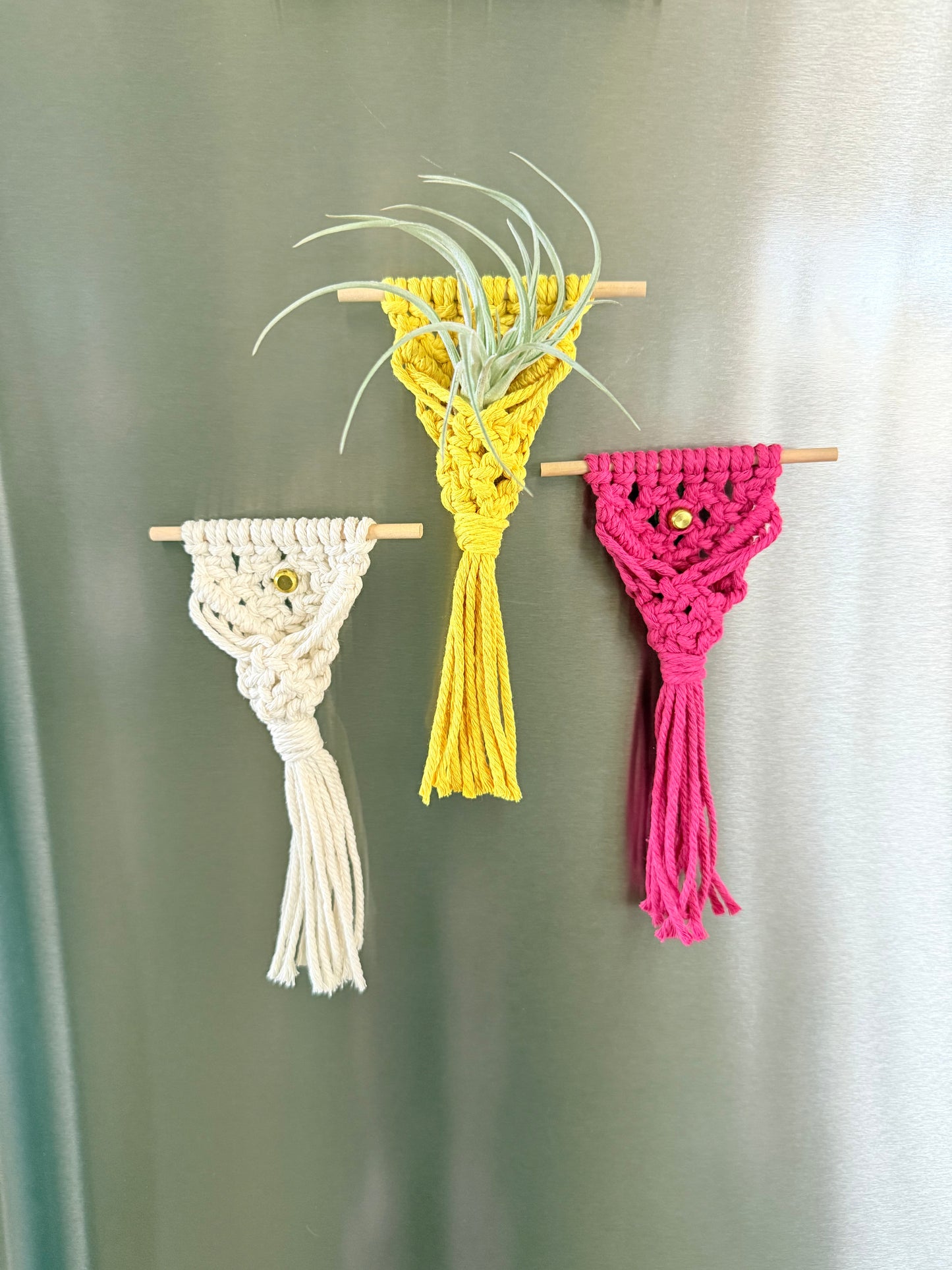 Macrame Air Plant Magnet