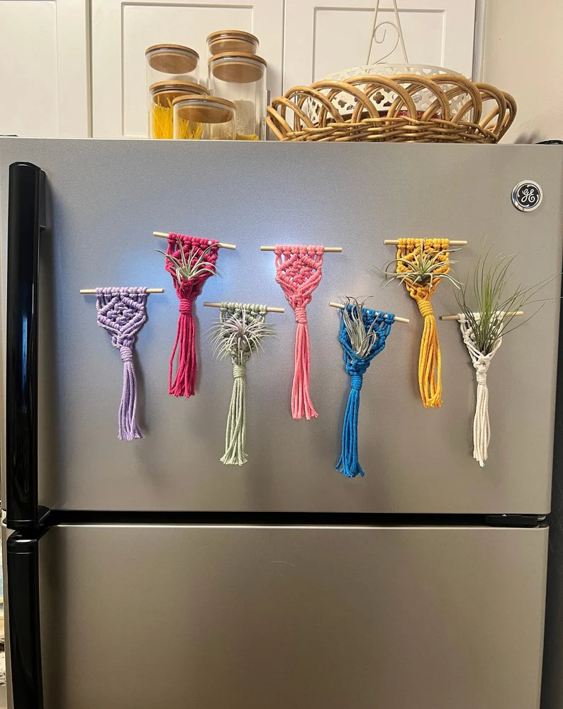 Macrame Air Plant Magnet