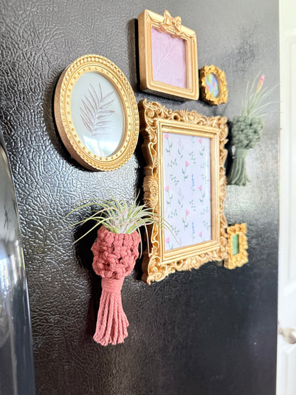 Macrame Air Plant Pocket Magnet