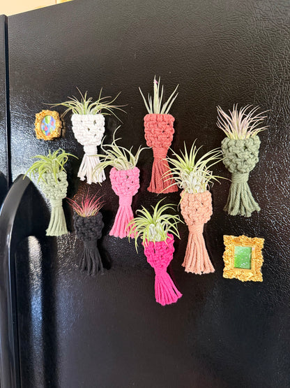 Macrame Air Plant Pouch Magnet