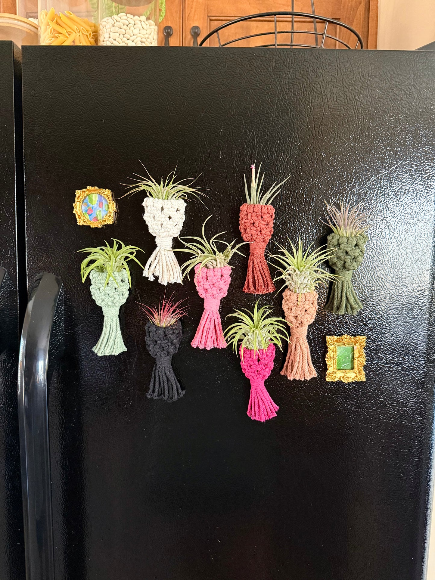 Macrame Air Plant Pouch Magnet