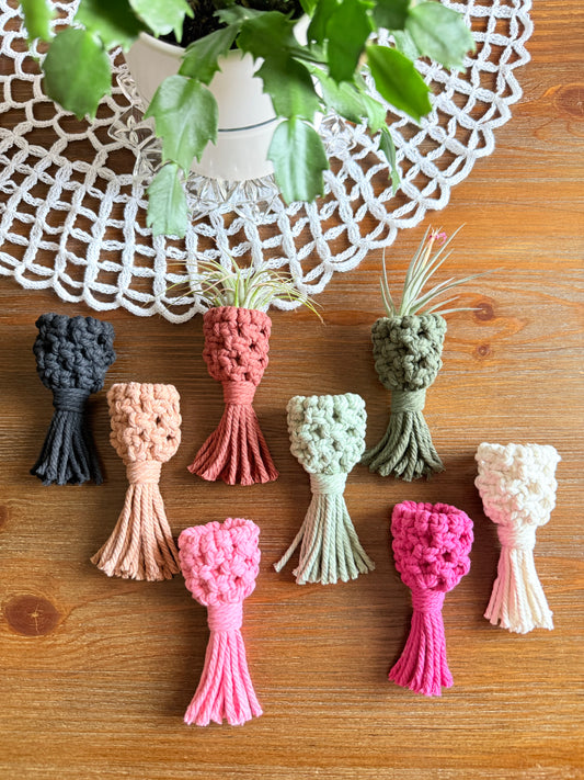 Macrame Air Plant Pocket Magnet
