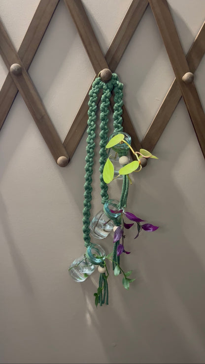 Colorful Macrame Propagation Jars