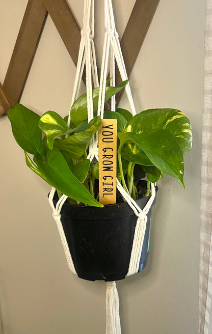 Funny Herb Plant Markers