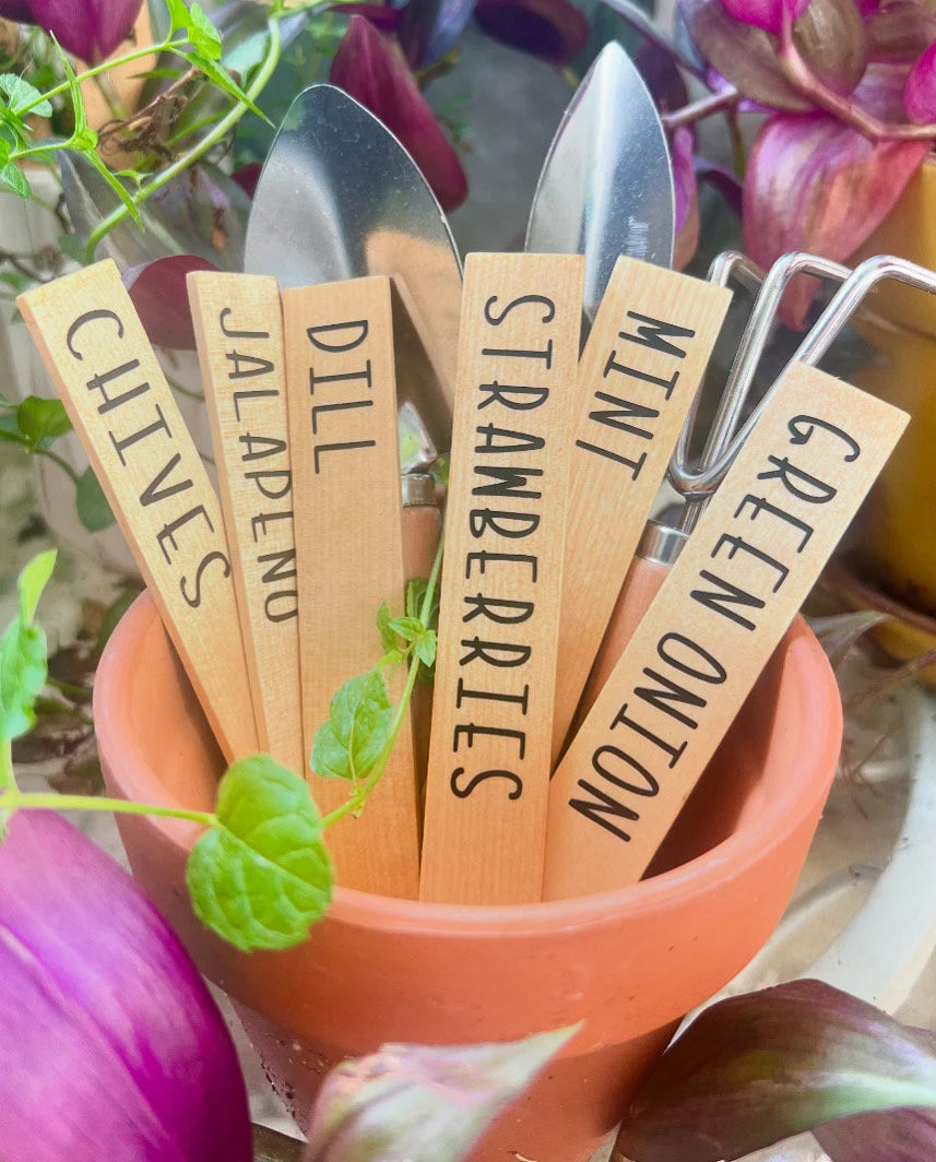 Herb Name Plant Markers