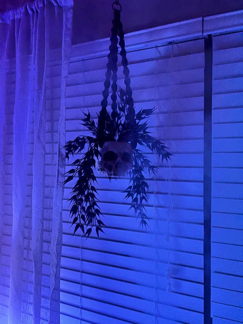 Macrame Skull Plant Holder