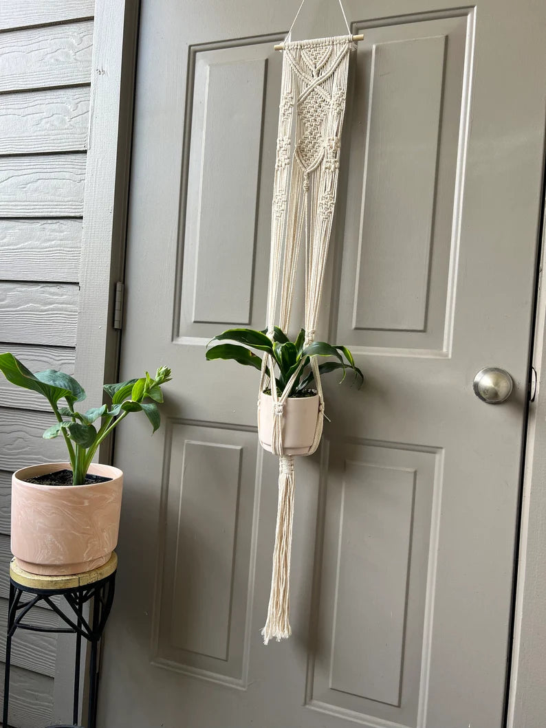 Macrame Wall Plant Hanger