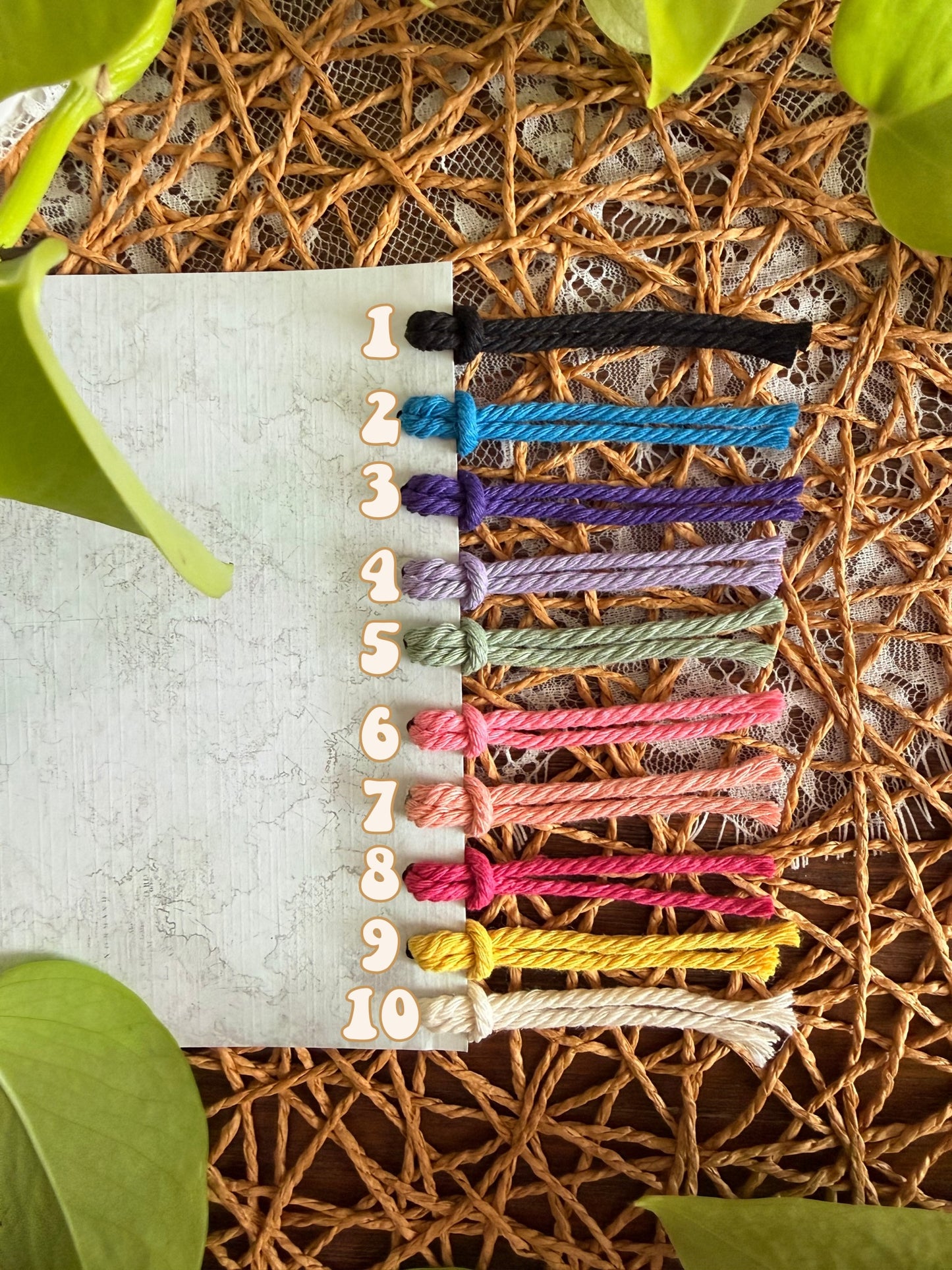 Macrame Air Plant Magnet