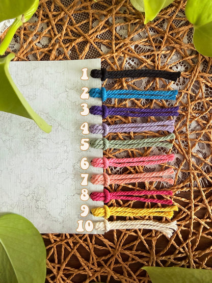 Macrame Air Plant Magnet