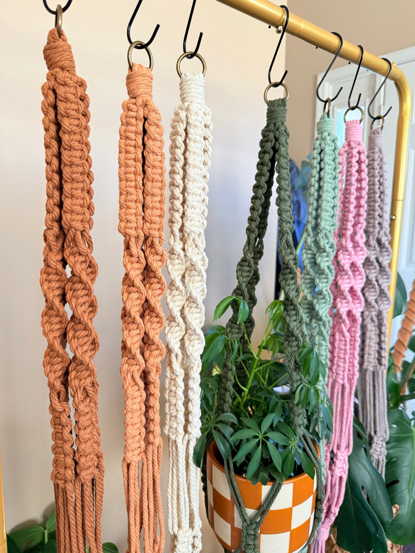 Macrame Plant Hanger