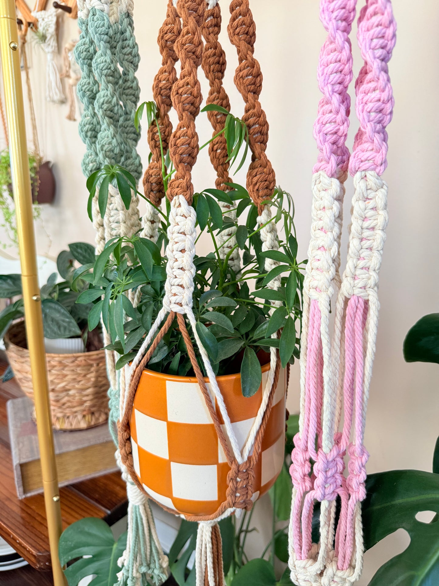Macrame Plant Hanger