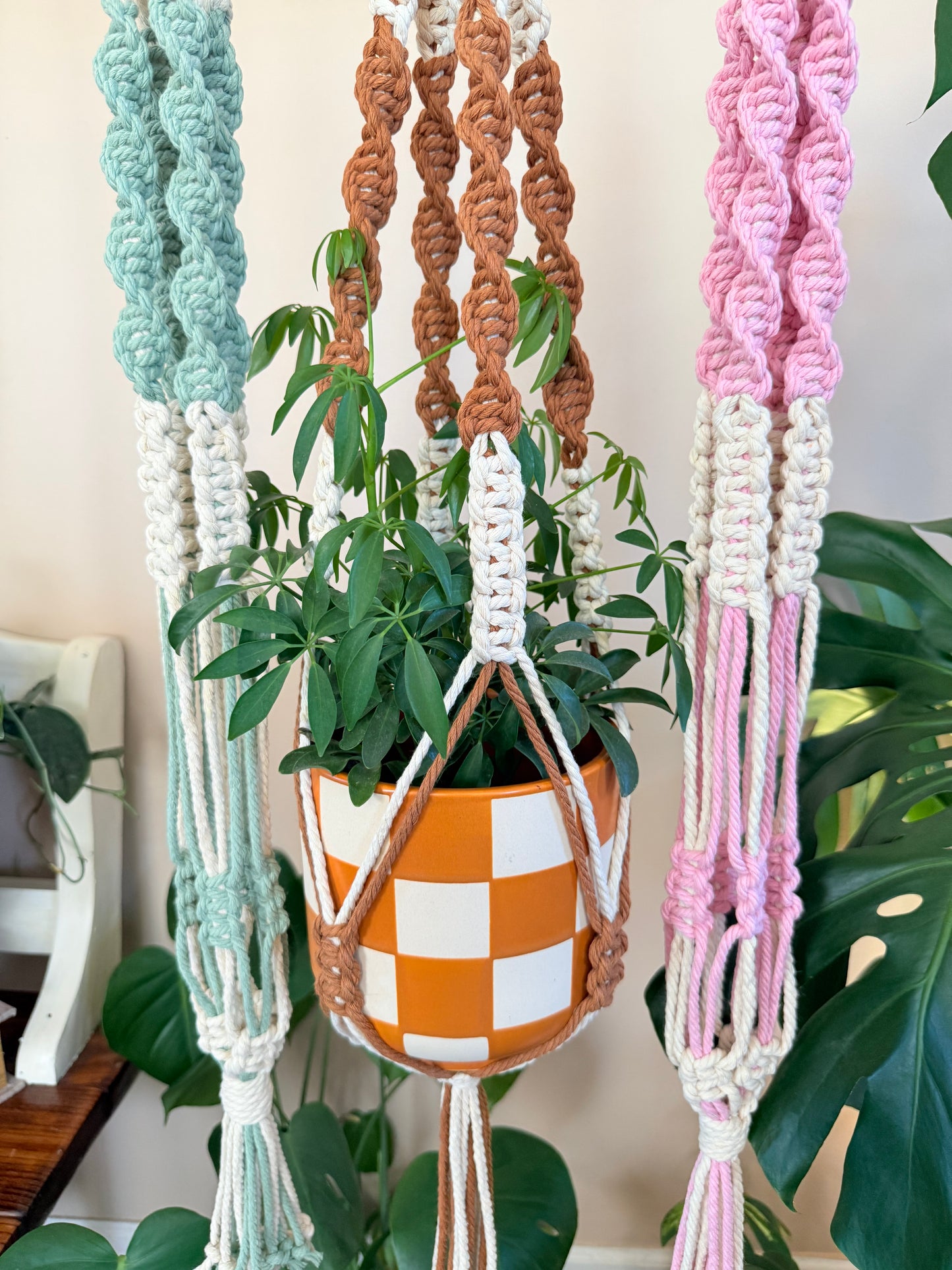 Macrame Plant Hanger