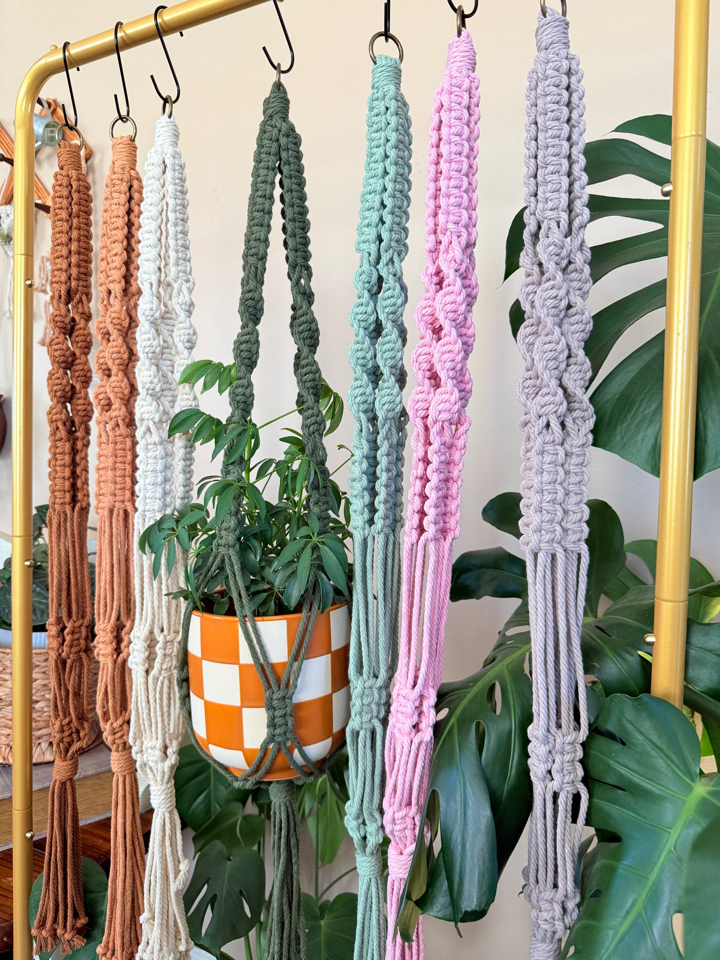 Macrame Plant Hanger