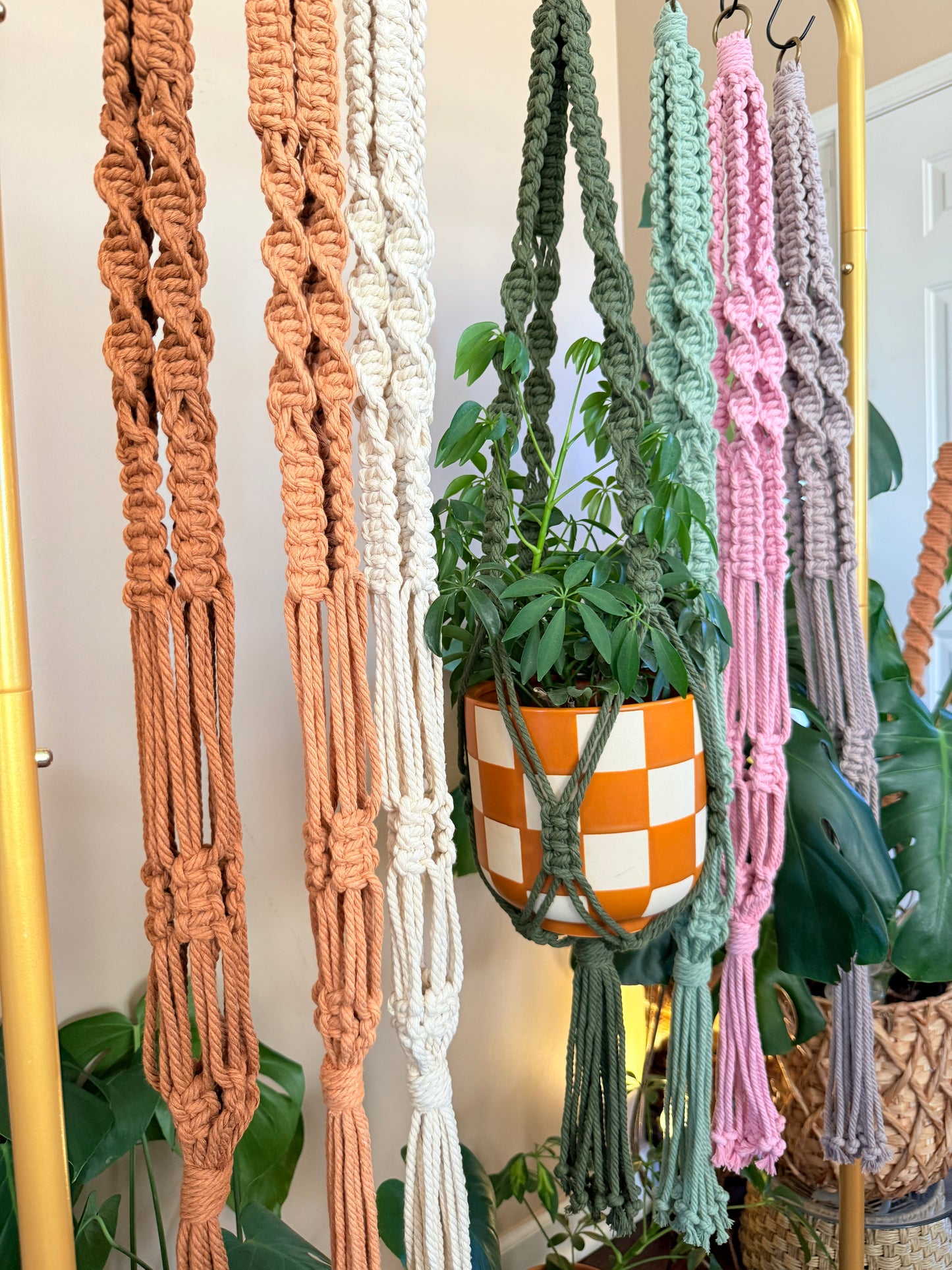 Macrame Plant Hanger
