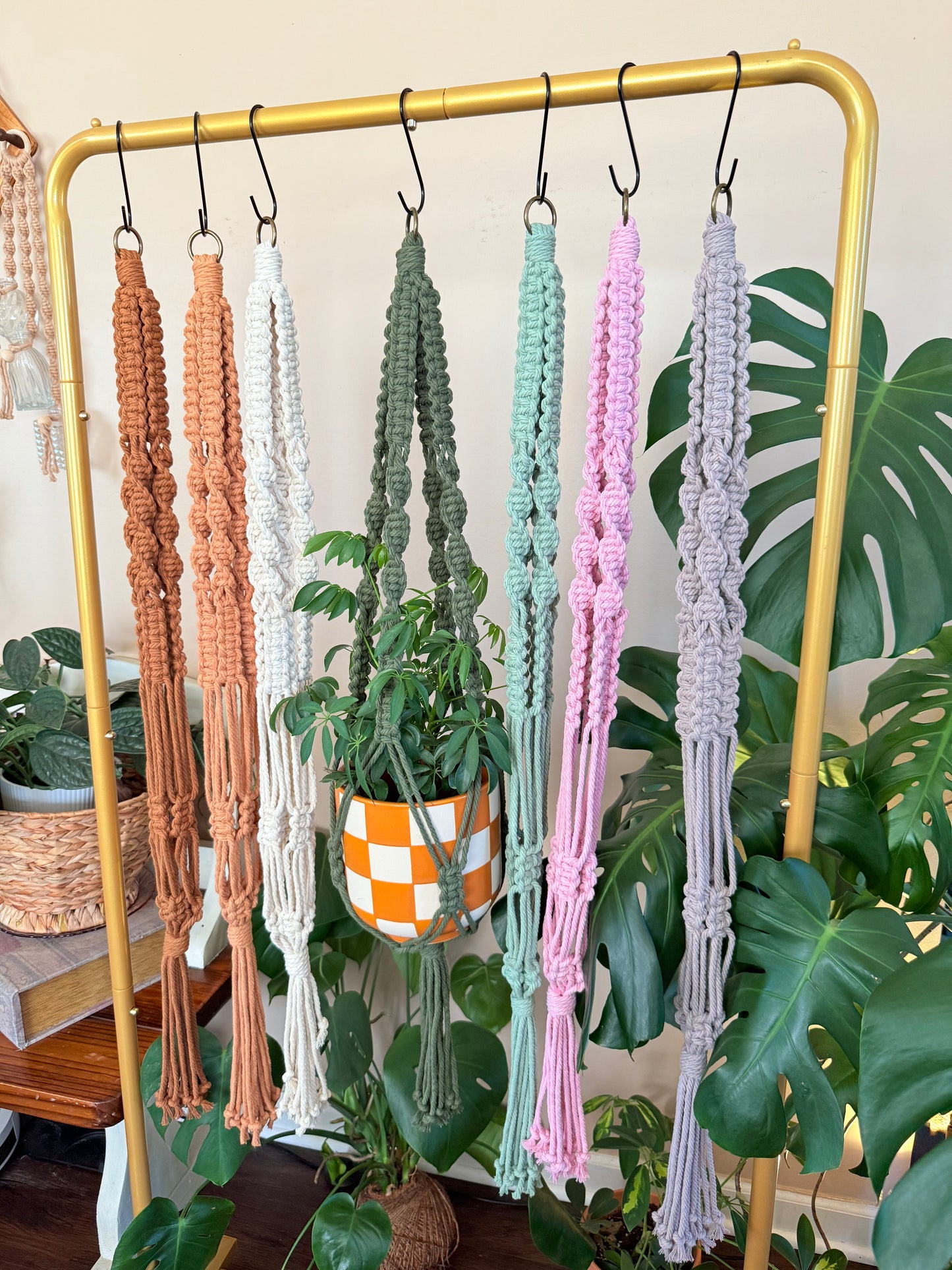 Macrame Plant Hanger