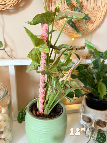 Macrame Plant Stake - 12"