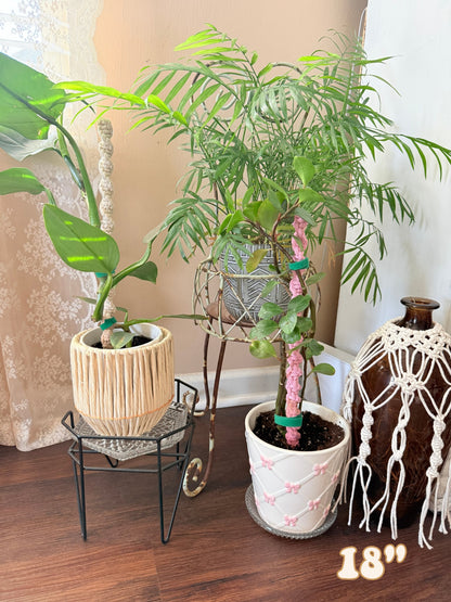 Macrame Plant Stake - 18"