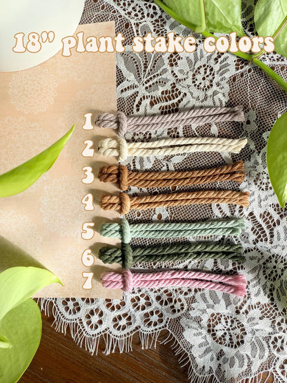 Macrame Plant Stake - 18"