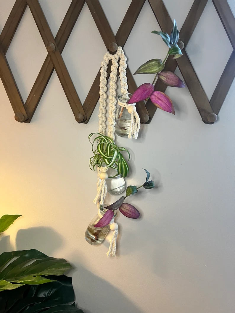 Macrame Propagation Jars