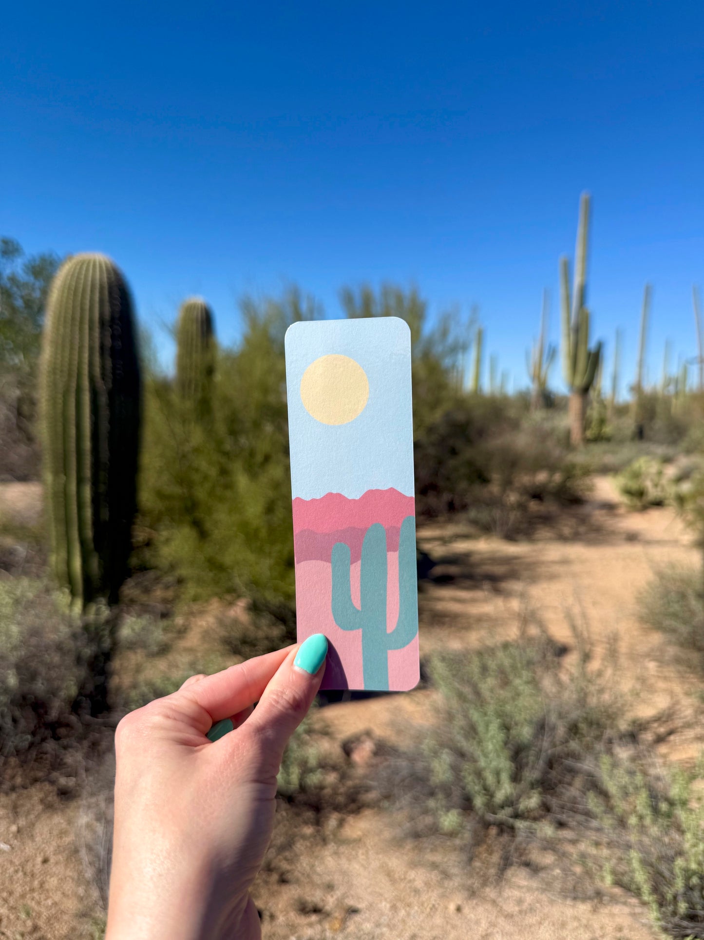 Saguaro Stationery Set