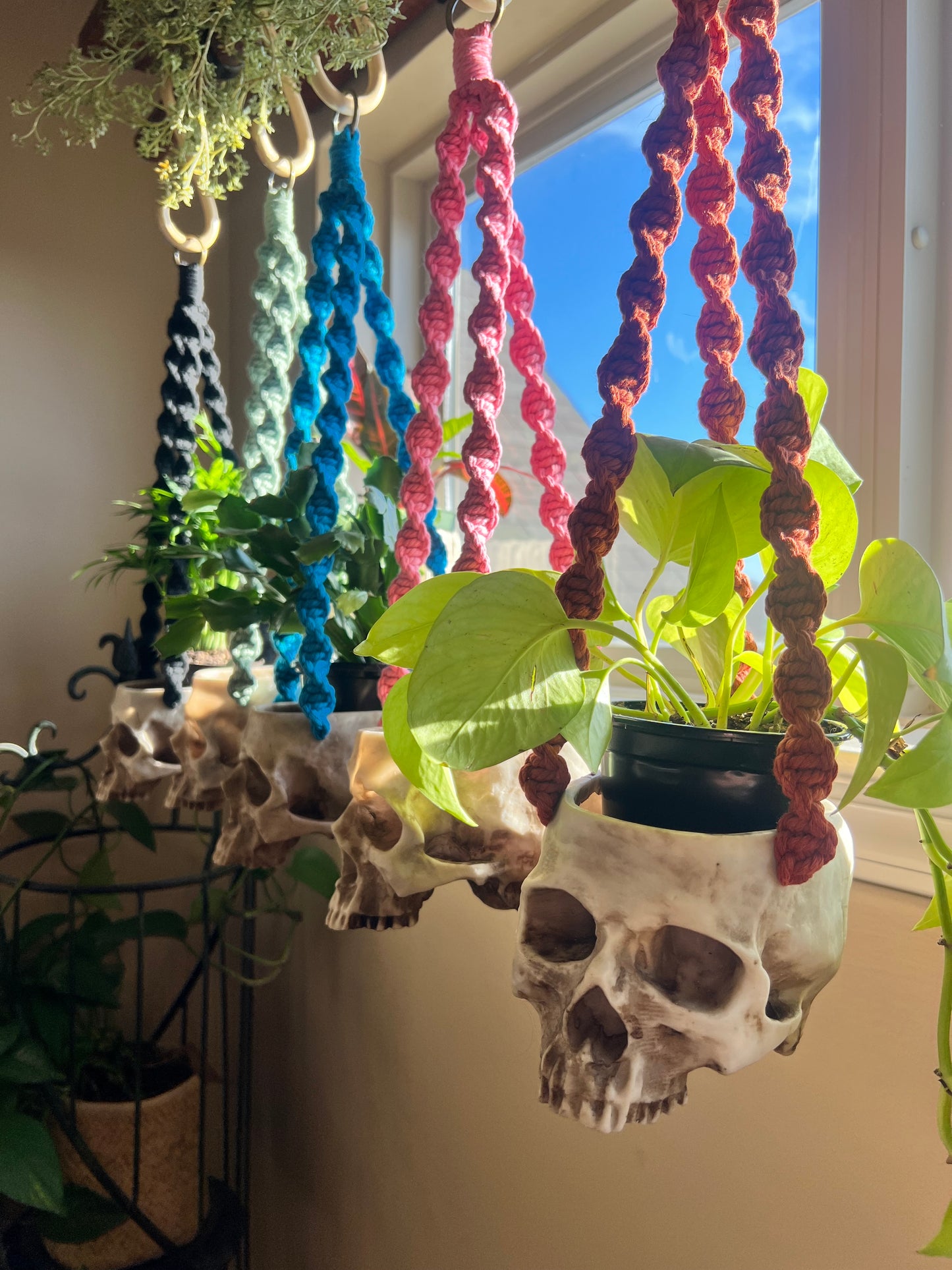 Macrame Skull Plant Holder
