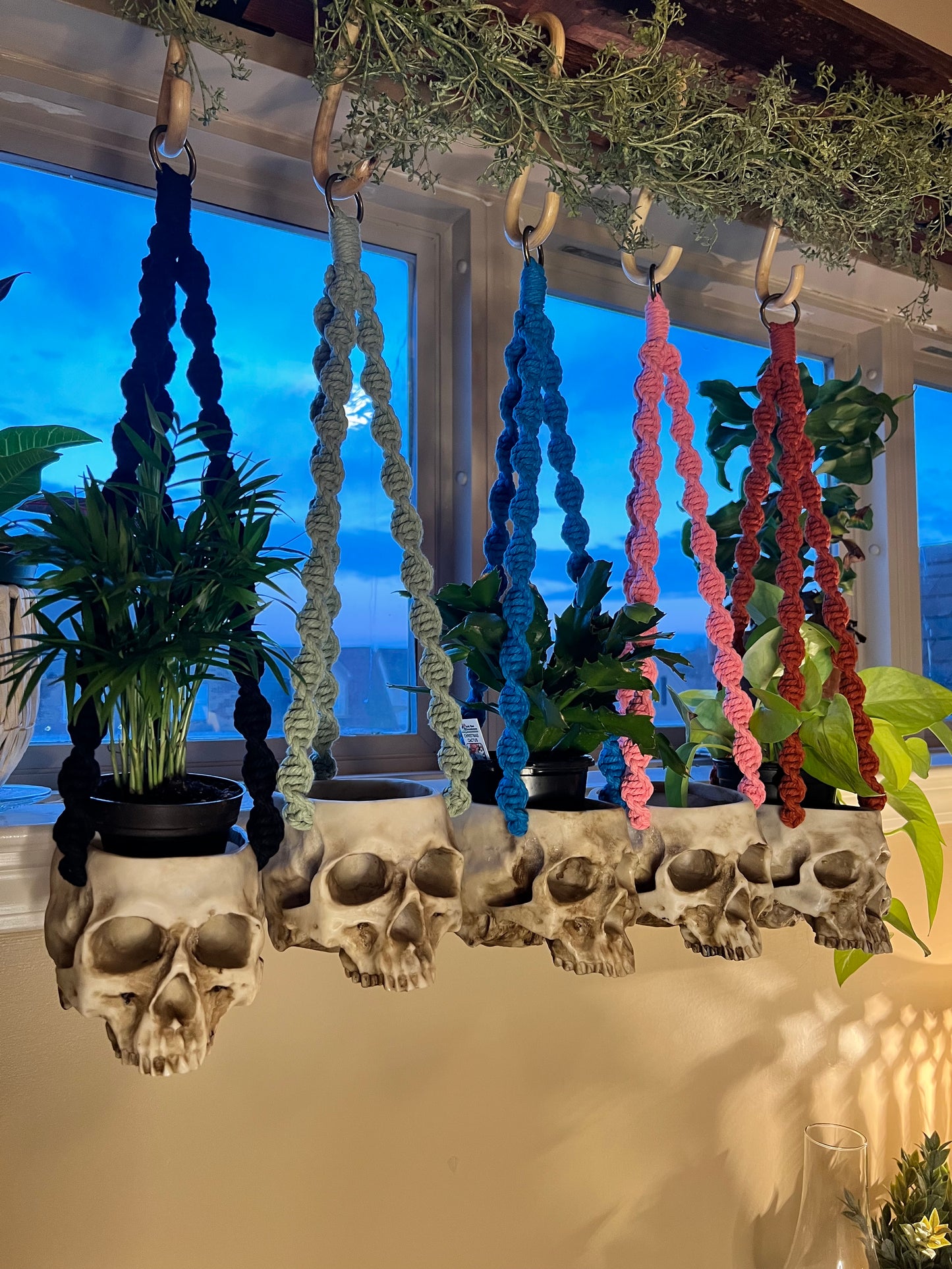 Macrame Skull Plant Holder