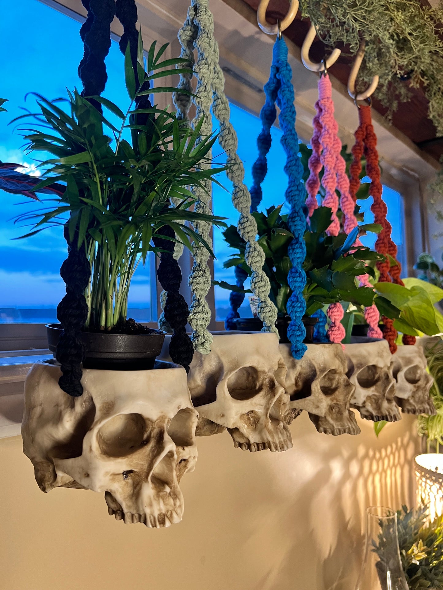 Macrame Skull Plant Holder