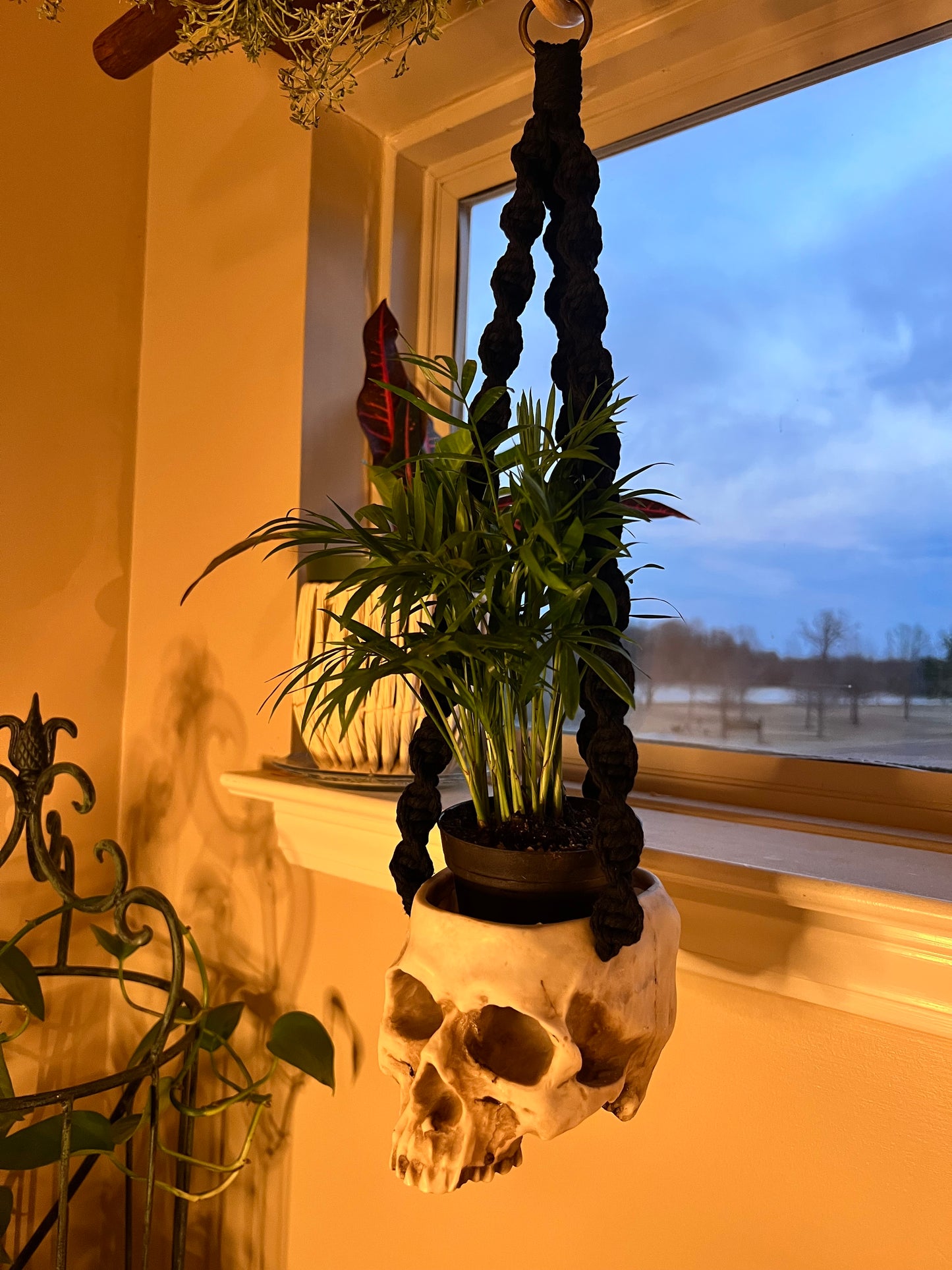 Macrame Skull Plant Holder