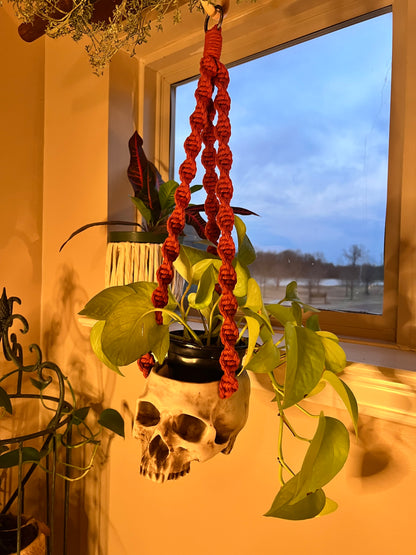 Macrame Skull Plant Holder