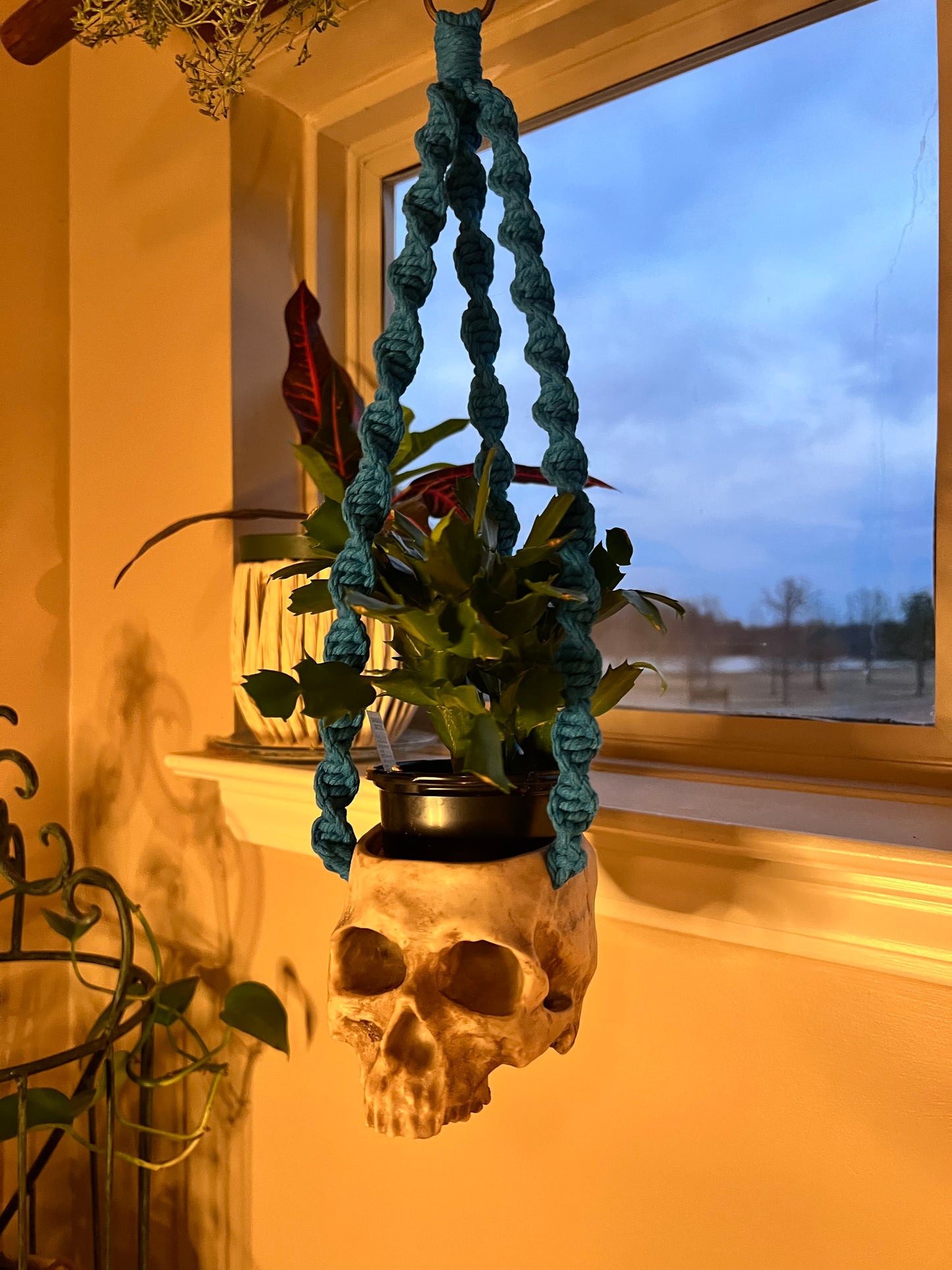 Macrame Skull Plant Holder