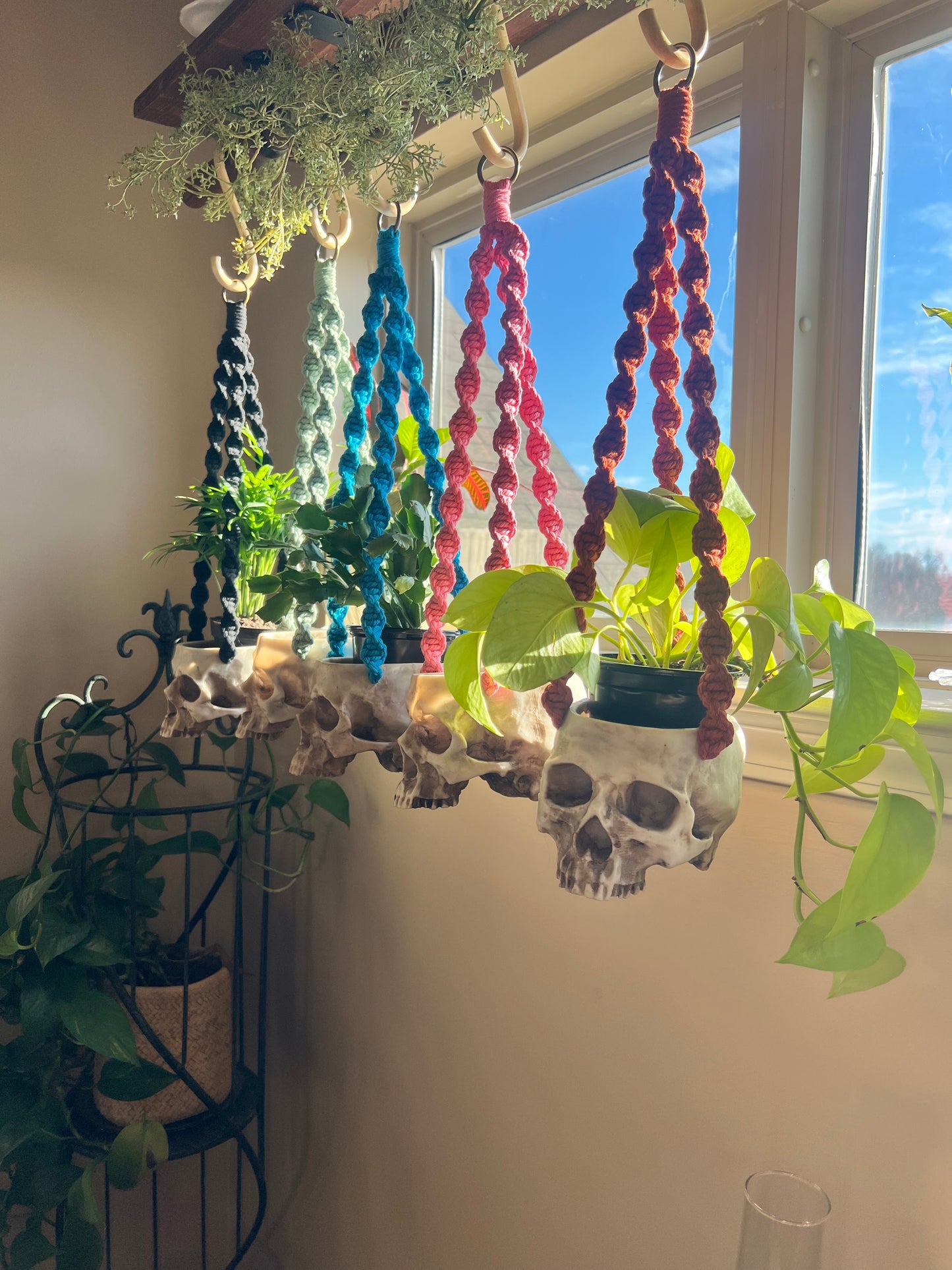 Macrame Skull Plant Holder